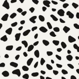 Meet your Posher, Madeline